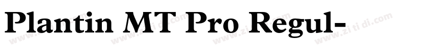 Plantin MT Pro Regul字体转换
